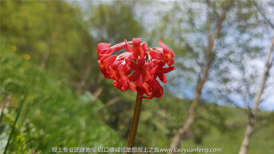 嘉華銘公司壩上草原團(tuán)建拓展