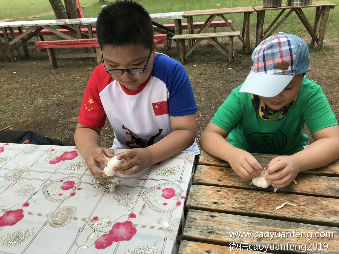 晉極武道館草原夏令營