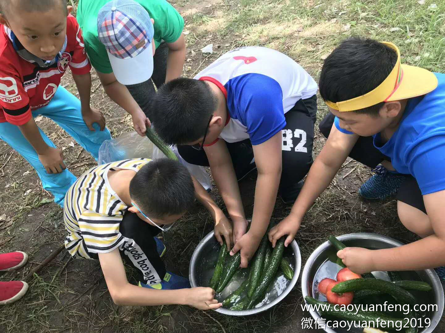 晉極武道館草原夏令營