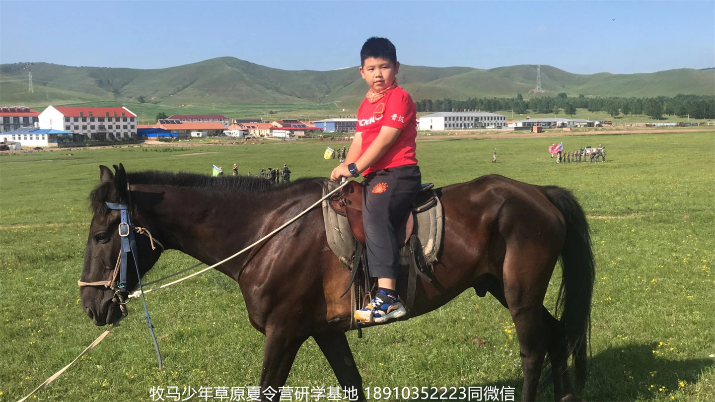 晉極武道館 松柏武道館草原研學(xué)夏令營(yíng)