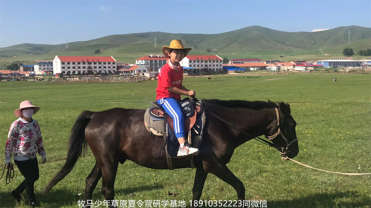 晉極武道館 松柏武道館草原研學(xué)夏令營(yíng)