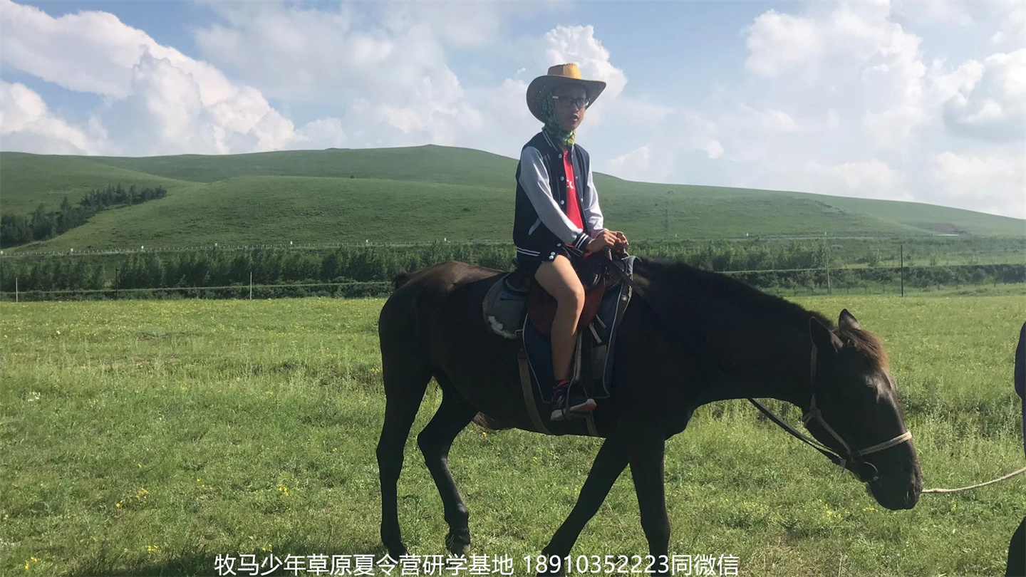 晉極武道館 松柏武道館草原研學(xué)夏令營(yíng)