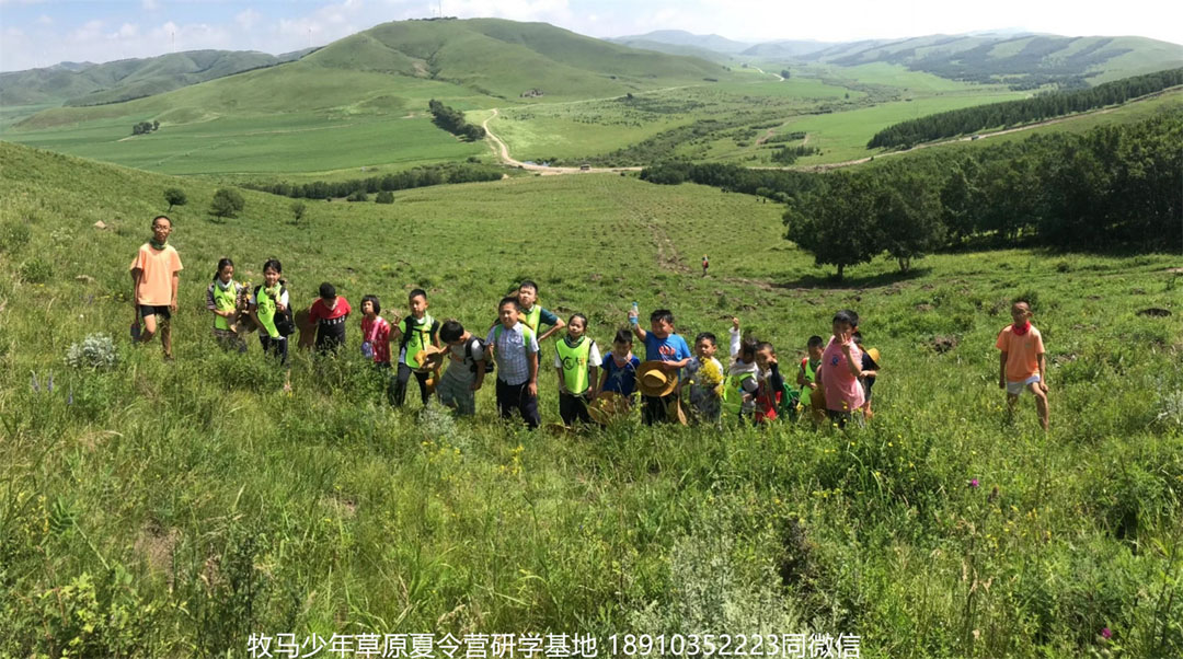 晉極武道館 松柏武道館草原研學(xué)夏令營(yíng)