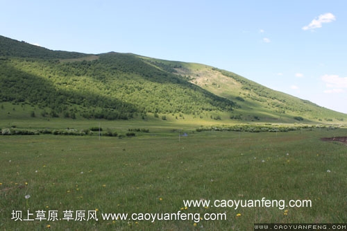 壩上柳樹溝風(fēng)景