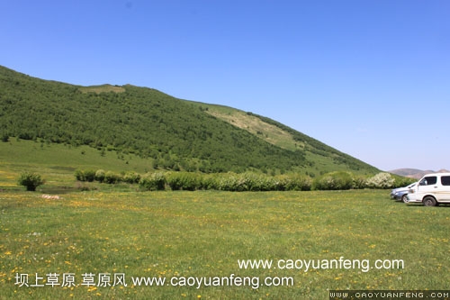 壩上柳樹溝風(fēng)景
