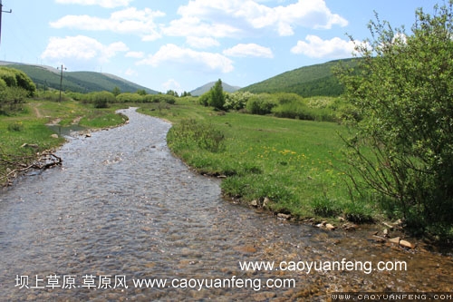 壩上柳樹溝風(fēng)景