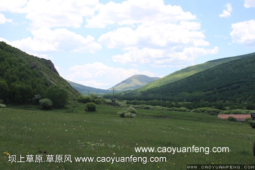 壩上柳樹溝風(fēng)景
