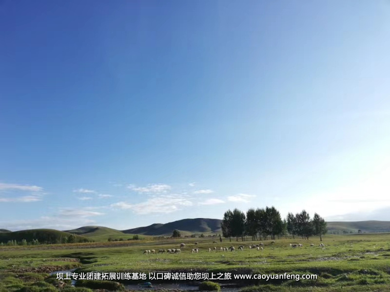 理想one汽車壩上草原團(tuán)建拓展活動(dòng)