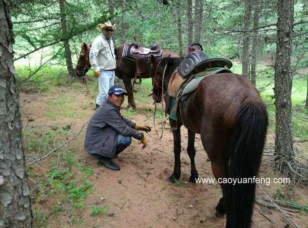 全國馬友齊聚壩上騎馬