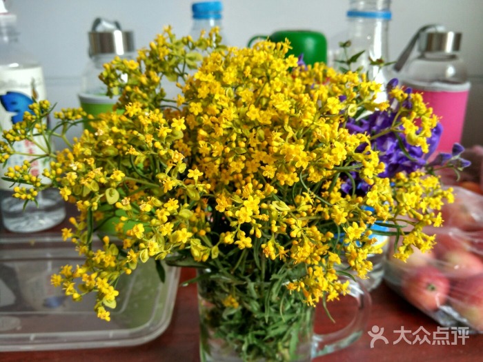 秋天蘑菇豐寧壩上行