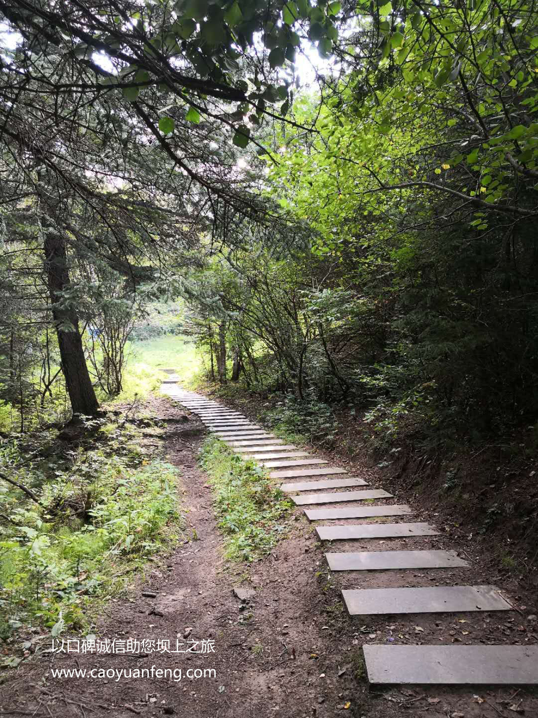 百里天路 京北第一天路 千松壩森林公園