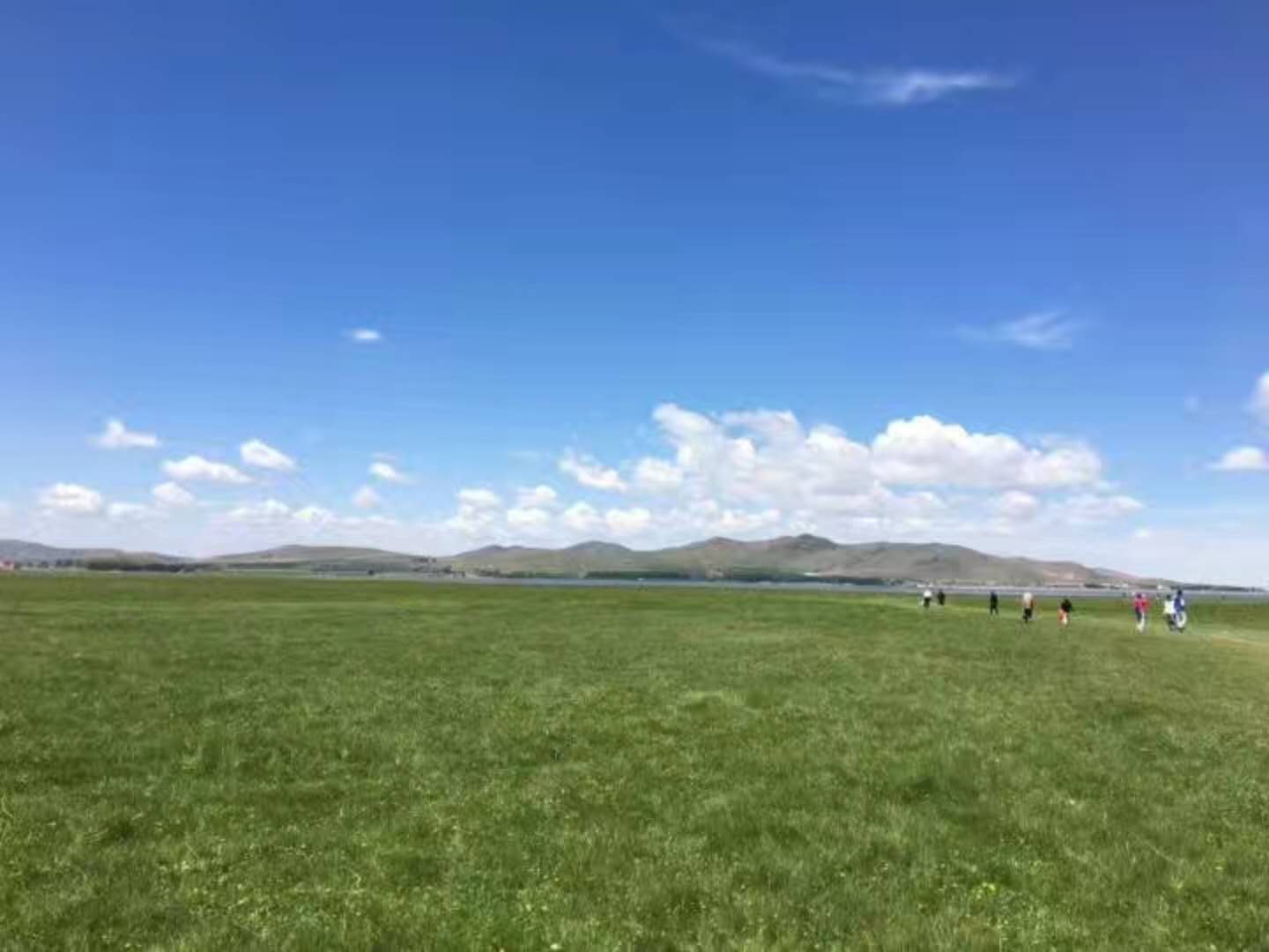 壩上親子小包團游客點評