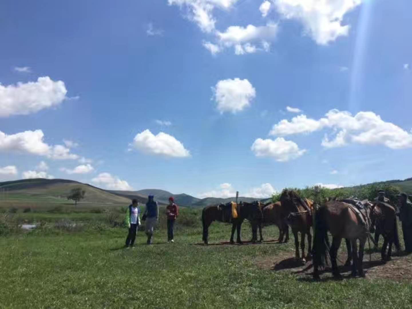 壩上親子小包團游客點評