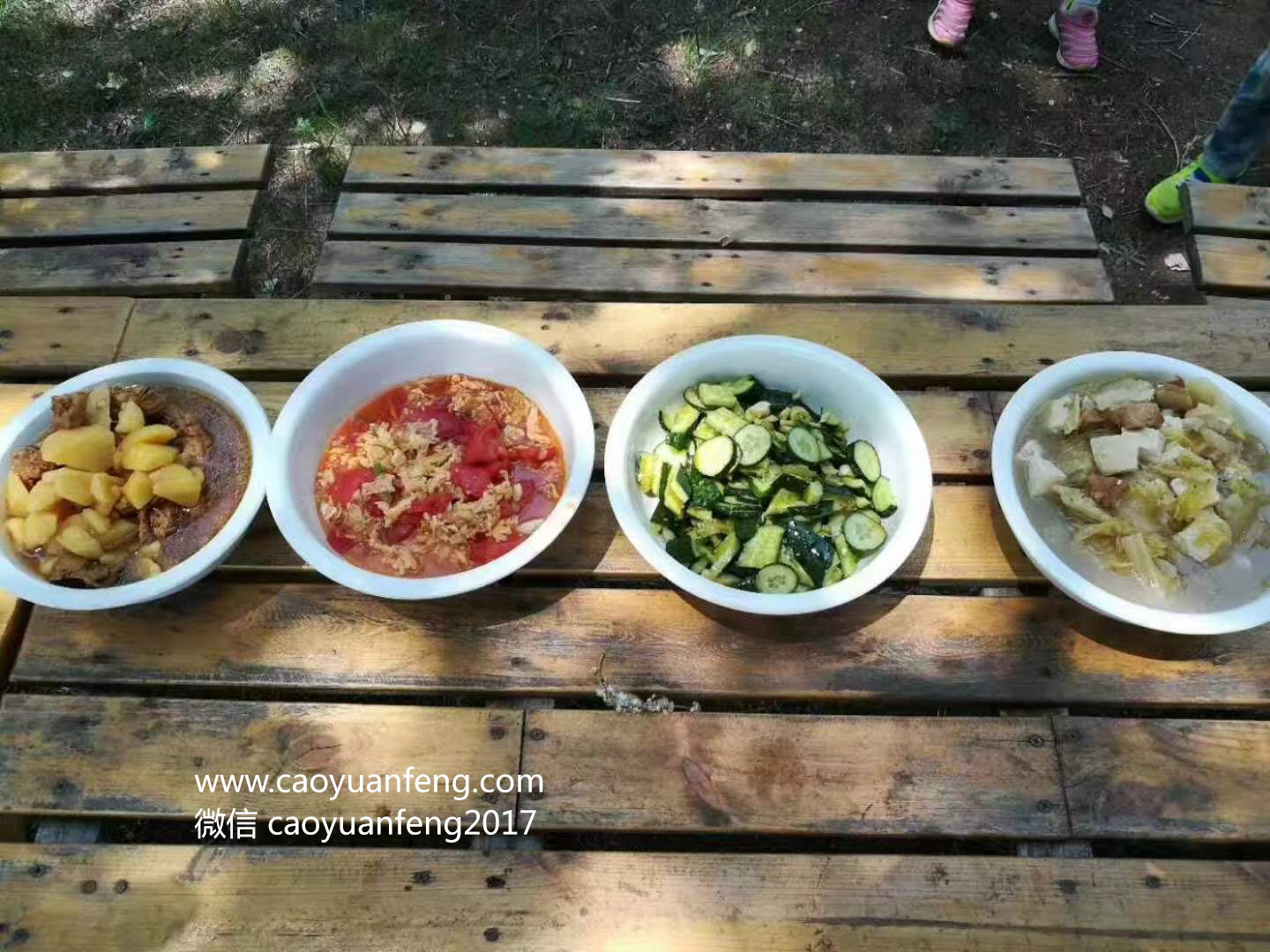 森林奇兵草原夏令營(yíng)