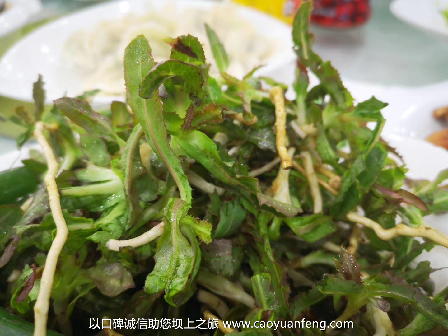 壩上蘑菇 山野菜 金蓮花 帶黃 黃花菜