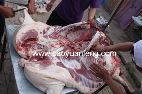 現(xiàn)殺活豬