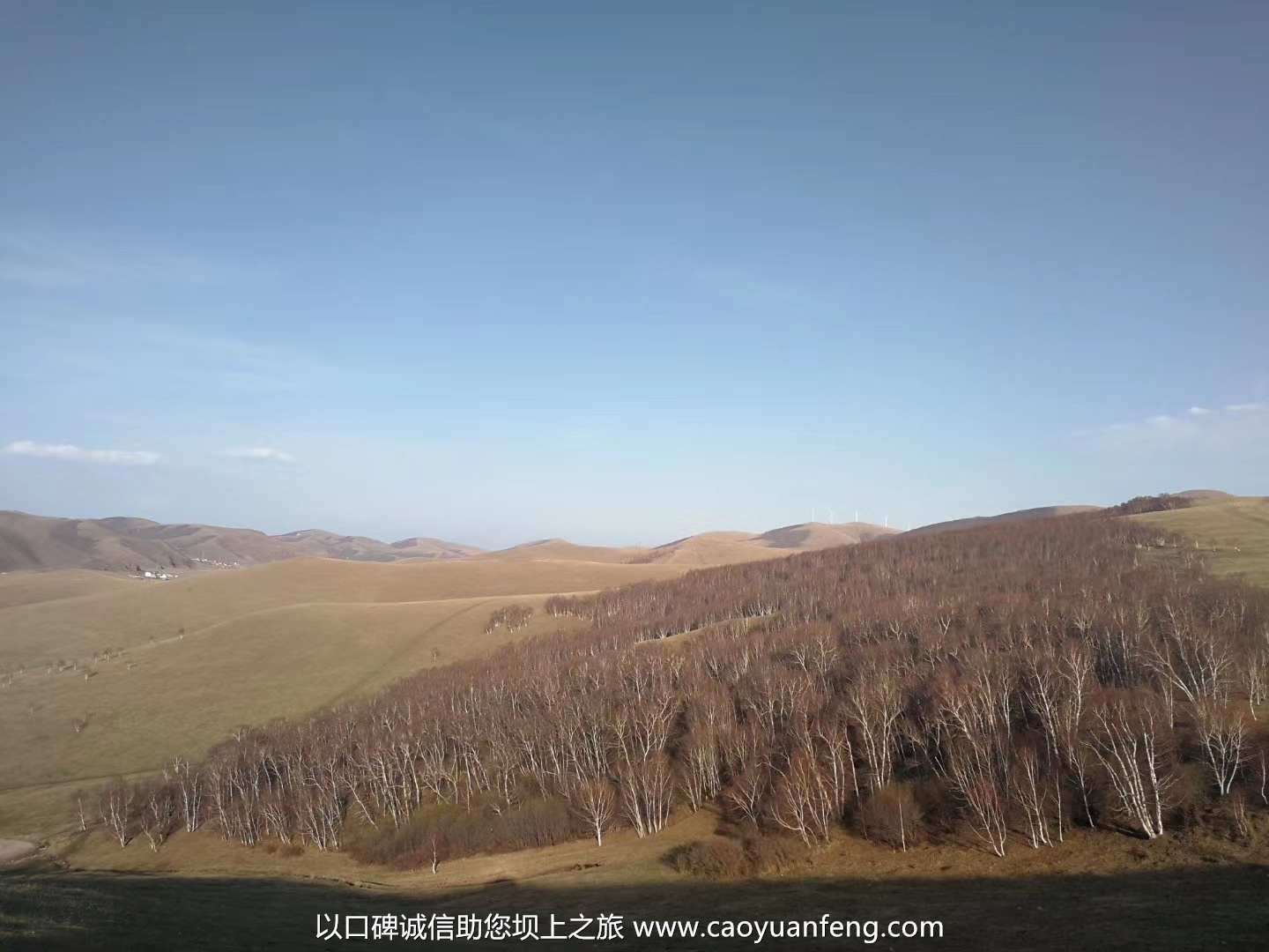 五一壩上草原