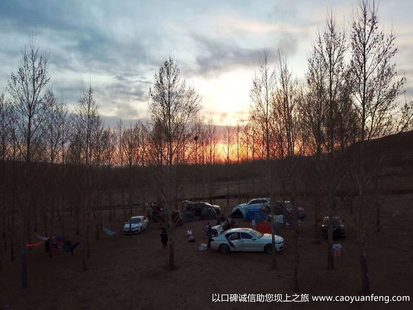 五一壩上草原游玩小伙伴