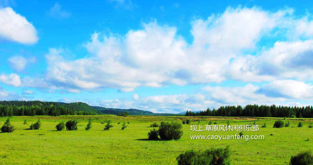 壩上四季風(fēng)光美景之夏季攝影（暑期）