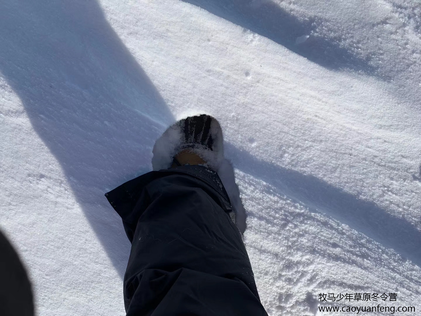 中關村二小星云社小小天文家草原冬令營