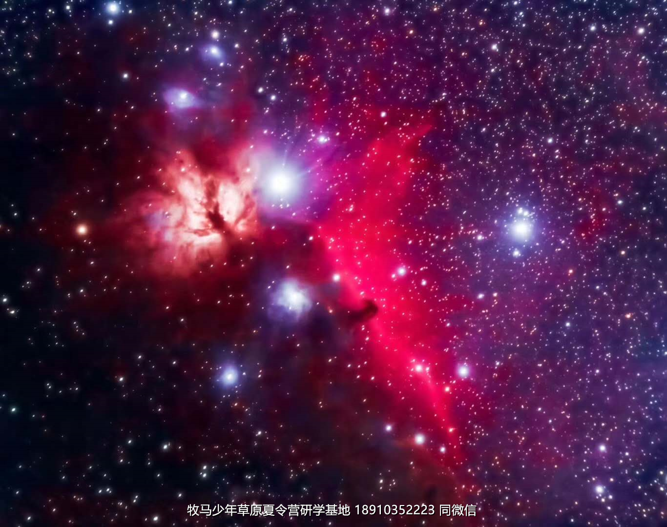 中關(guān)村二小星云社小小天文家草原冬令營