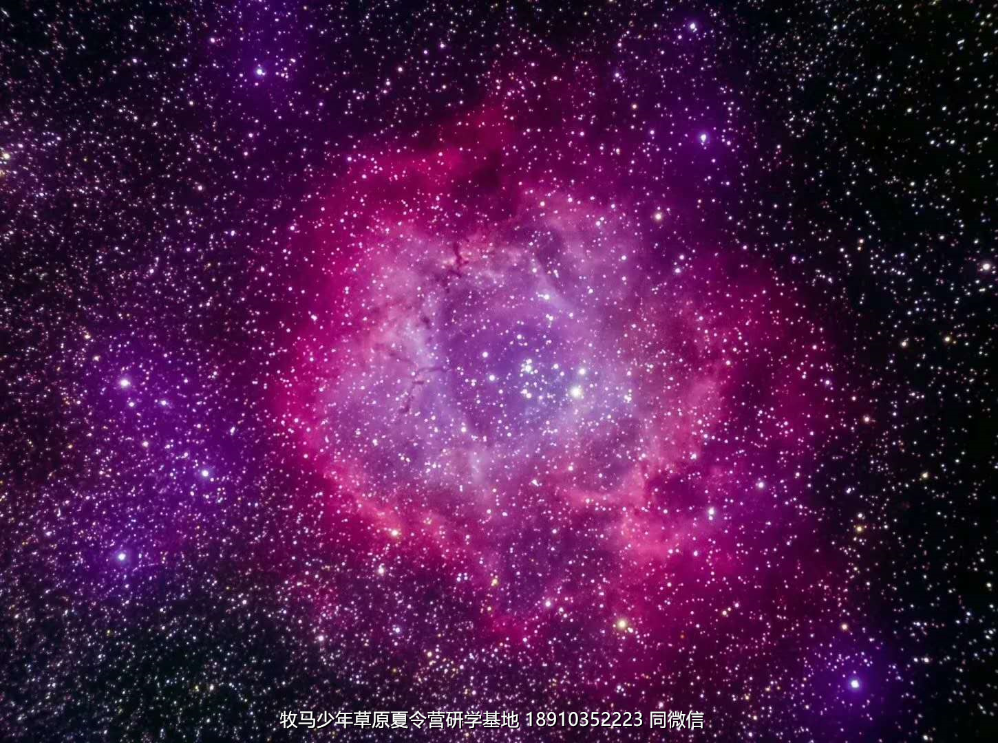 中關(guān)村二小星云社小小天文家草原冬令營