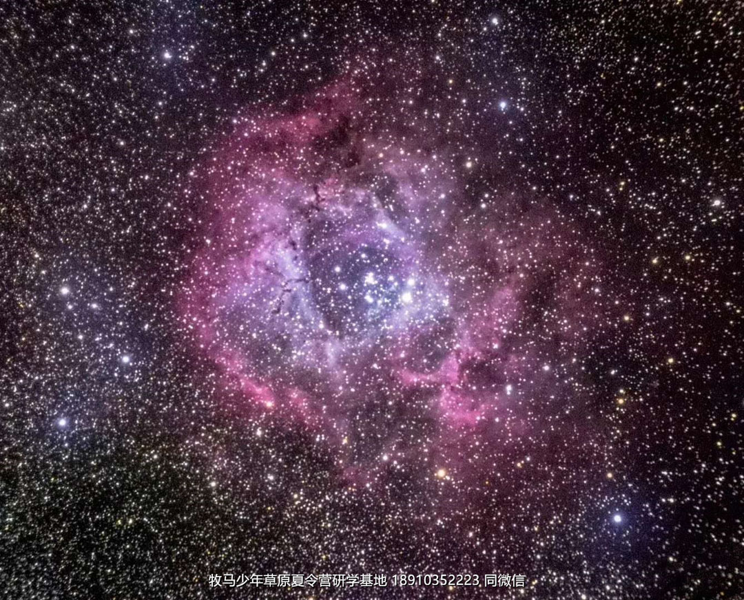 中關(guān)村二小星云社小小天文家草原冬令營