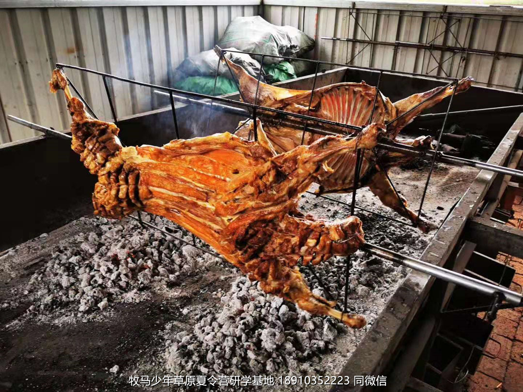 星云社小小天文家草原夏令營(yíng)