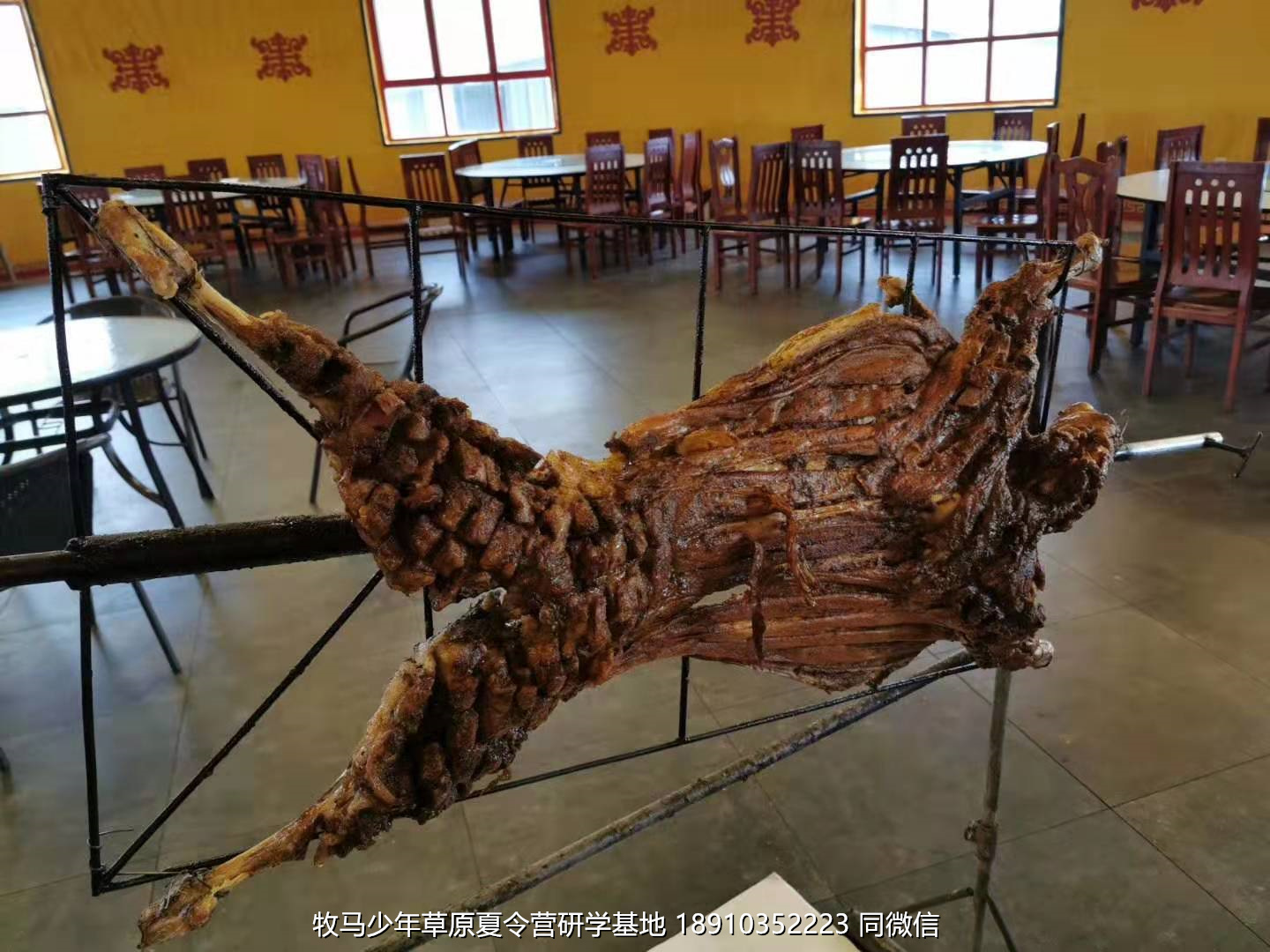 星云社小小天文家草原夏令營(yíng)