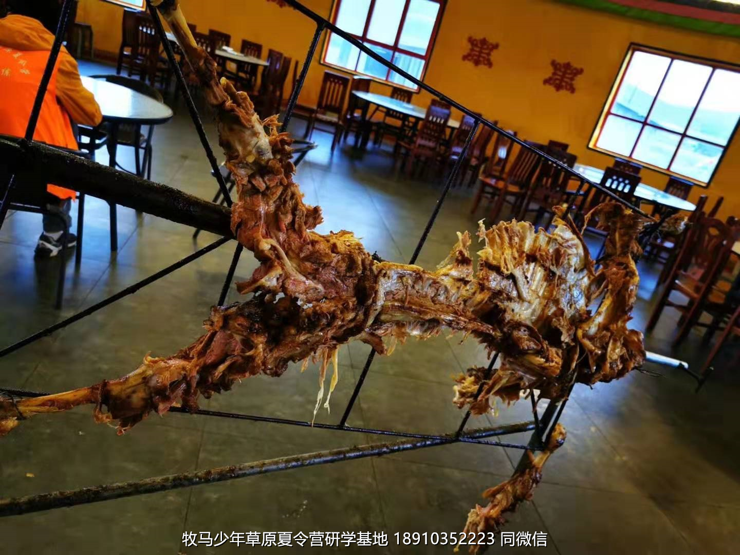 星云社小小天文家草原夏令營(yíng)
