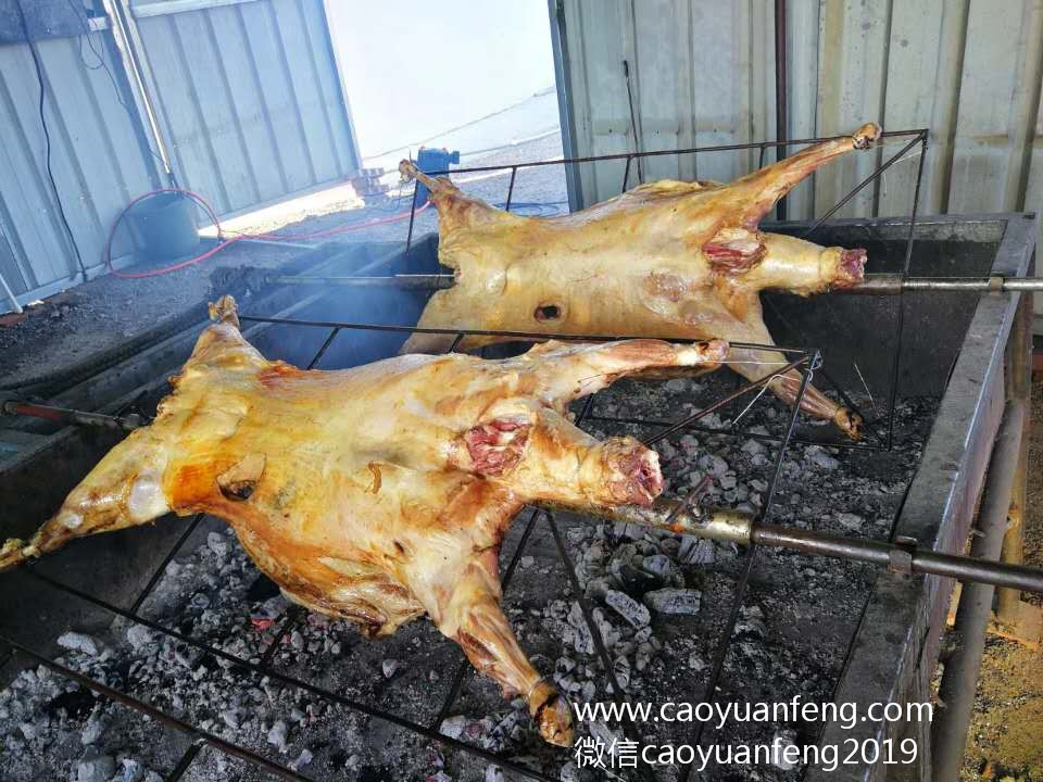 中關(guān)村二小星云社小小天文家草原夏令營(yíng)