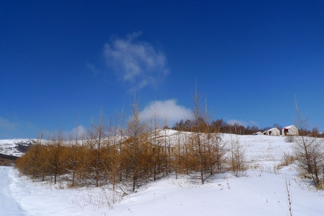 豐寧壩上賞雪景 飄雪壩上風(fēng)光攝影