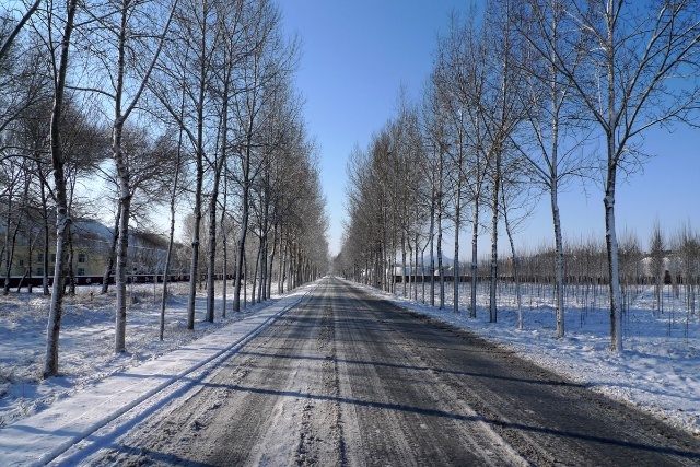 豐寧壩上賞雪景 飄雪壩上風(fēng)光攝影