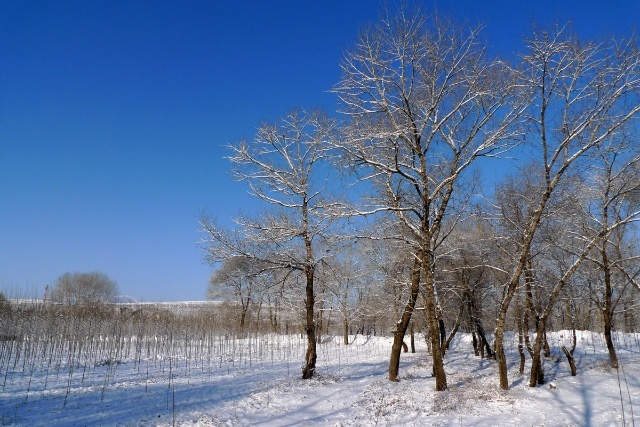 豐寧壩上賞雪景 飄雪壩上風(fēng)光攝影