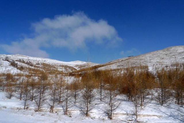 豐寧壩上賞雪景 飄雪壩上風(fēng)光攝影