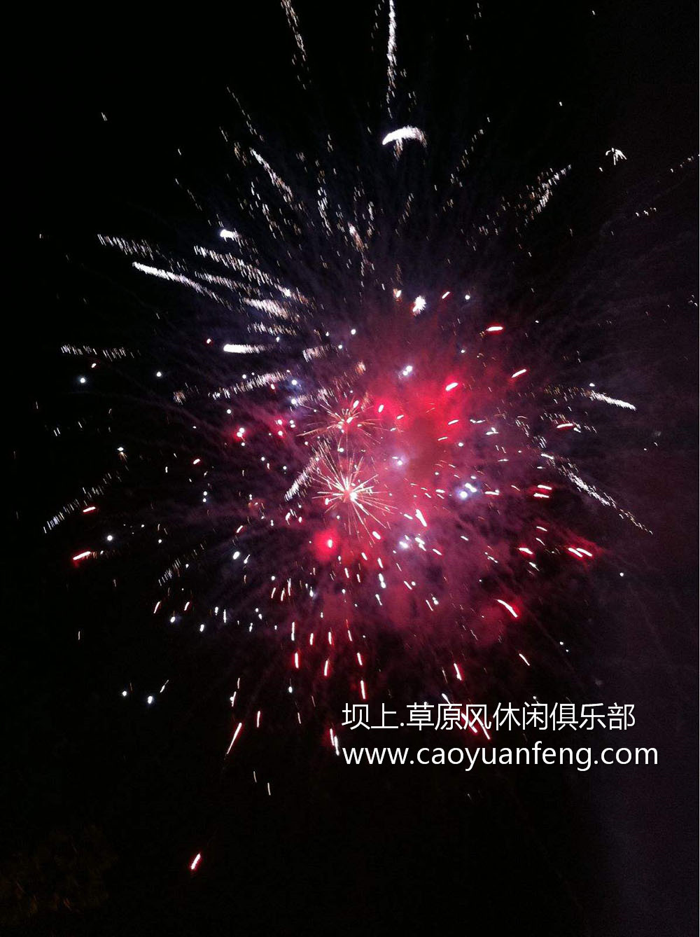 草原夜晚煙花燃放
