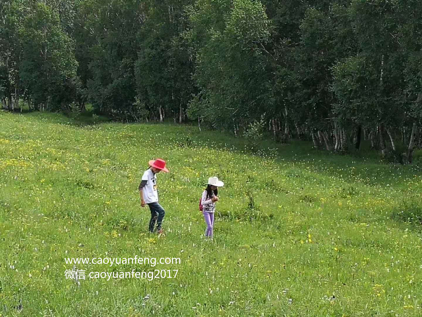 北京智匯派暑期草原夏令營(yíng)