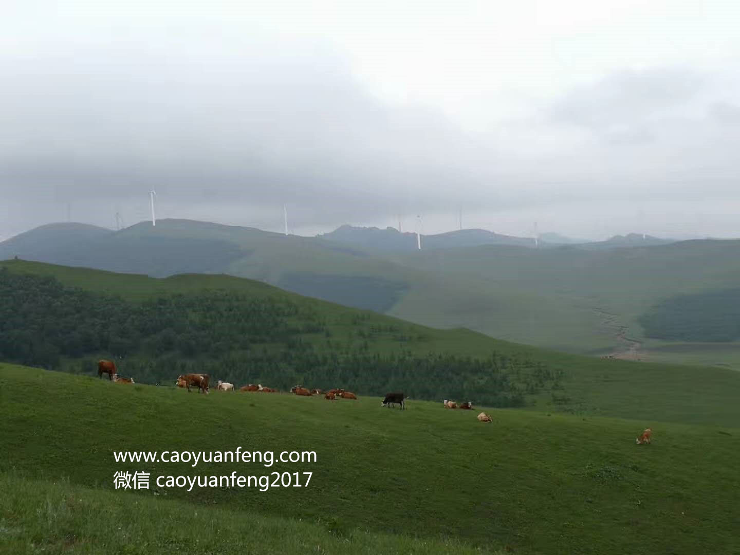 北京智匯派暑期草原夏令營(yíng)