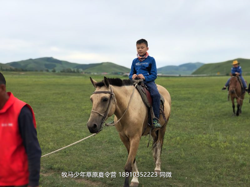 北京俱樂部壩上草原足球夏令營(yíng)