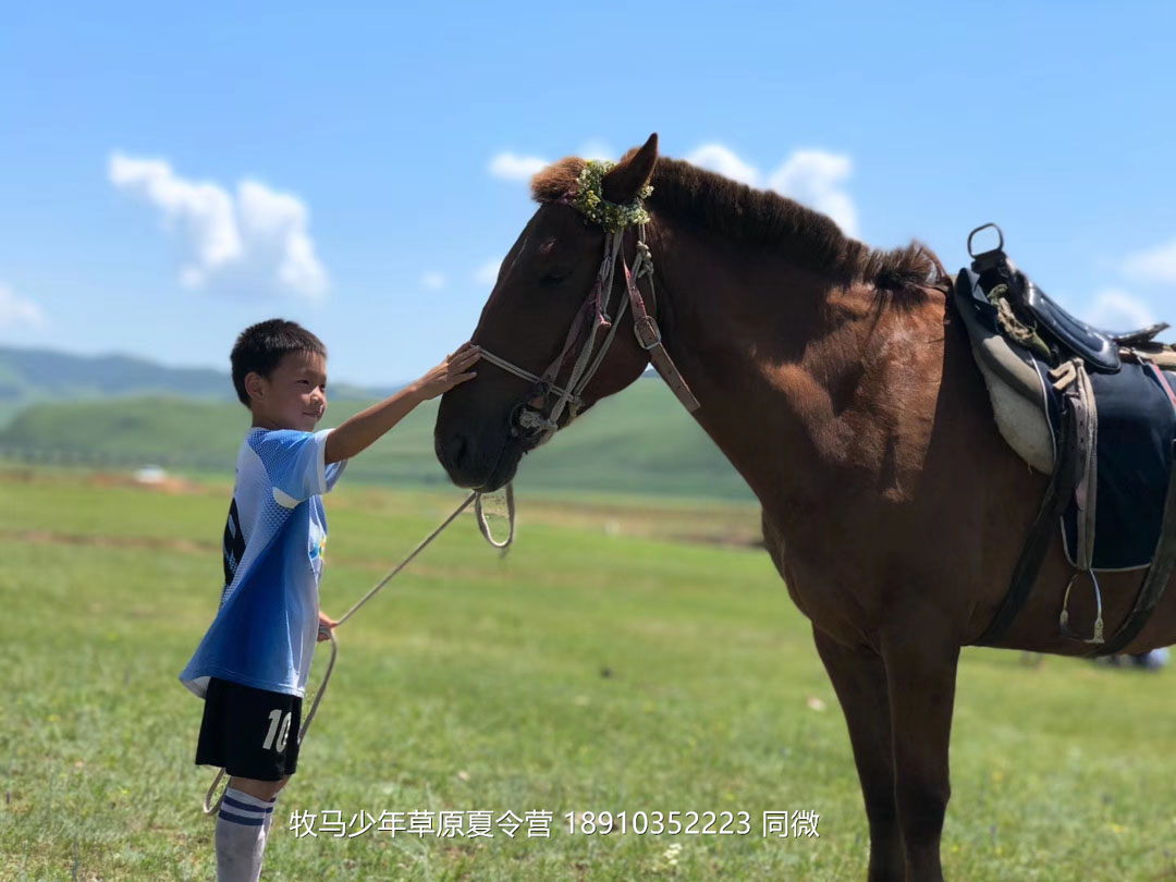 北京俱樂部壩上草原足球夏令營(yíng)
