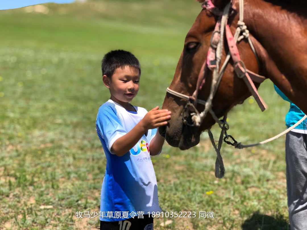北京俱樂部壩上草原足球夏令營(yíng)